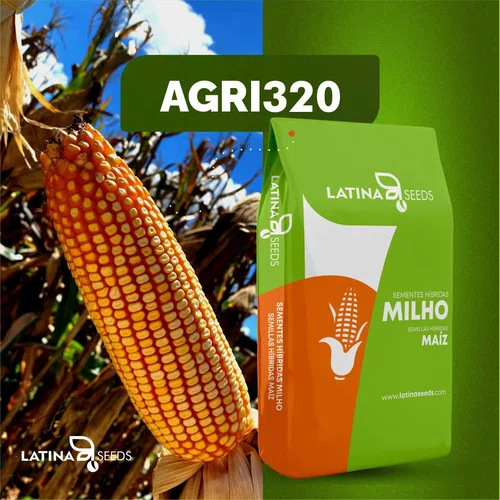 Semente de Milho Hibrido Convencional AGRI320