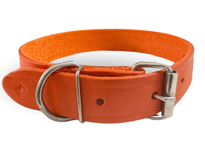 Coleira De Couro Para Cães - RiseCouros