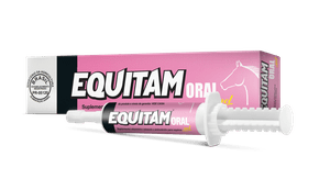 Equitam Oral Gel 40g - Dispec do Brasil