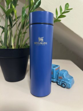 Garrafa Termica Digital 500ml Stanley