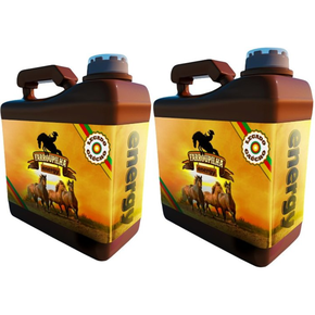 Kit 2 Suplemento Energético Farroupilha Energy Cavalo 5L