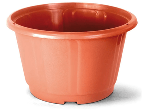 Kit Vaso Nobre 02 Cerâmica - Nutriplan - 26x17x16cm