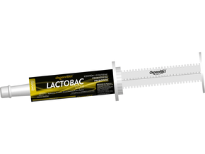 Lactobac Equi 66ml - Organnact