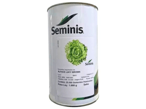 Lata de Sementes Importadas Alface Lucy Brown 25000 Sementes - Seminis Lata de Sementes Importadas Alface Lucy Brown 25000 Sementes - Seminis