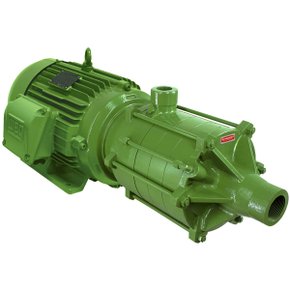 Motobomba  Me-Al 1950 5 Cv Trif. - Schneider