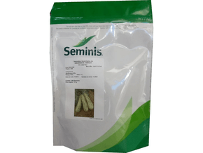 Semente de Abobrinha Híbrida PX 13067051 - Seminis