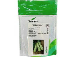 Semente de Abobrinha Híbrida PX 13067051 - Seminis