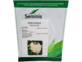 Semente de Couve-Flor Híbrida Barcelona CMS - Seminis Semente de Couve-Flor Híbrida Barcelona CMS - Seminis