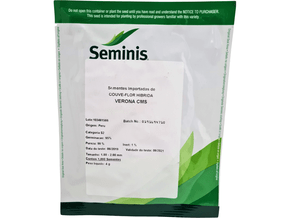 Semente de Couve-Flor Híbrida Verona CMS - Seminis