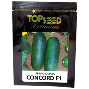 Semente Importadas De Pepino - Topseed