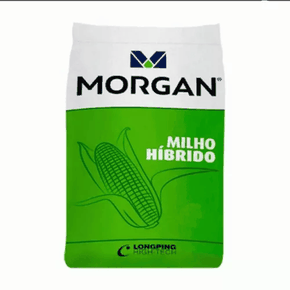 Semente Milho Morgan 30A95 PWU - 20Kg