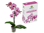 Adubo Fertilizante 10-10-10 Orquídea 150g