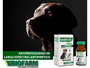 Babecid Cães Biofarm Antiprotozoário 10ml