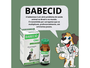 Babecid Cães Biofarm Antiprotozoário 10ml
