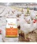 Concentrado para Aves de Corte 5Kg - Turamix