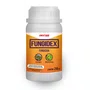 Dexter Latina Fungidex 250ml Controle Pragas Jardim