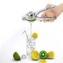 Espremedor de Limão Inox 20cm - Bigsul