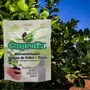 Fertilizante Mineral Cuprofix Sulfato De Cobre + Zinco 30gr