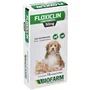 FLOXCILIN COMPRIMIDO PET CÃES E GATO - 50 MG