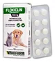 FLOXICLIN COMPRIMIDO PET - 150 MG antibiótico bactéria