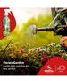 Fungicida Cura Ferrugem Pinta-Preta Oídio Fung Folhas Floran 30ml