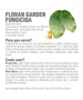 Fungicida Cura Ferrugem Pinta-Preta Oídio Fung Folhas Floran 30ml