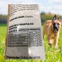 Kit 10kg de arroz Para Cachorros