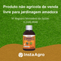 Kit 2 Fungidex Elimina Doenças Pragas Jardim Plantas 50ml