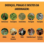 Kit 2 Fungidex Elimina Doenças Pragas Jardim Plantas 50ml