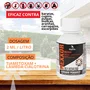 Kit 2 Nexxor 100ml Contra Barata Pulga Mosca Aranha Dipil