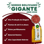 Kit 2 Semente Sorgo Boliviano Gigante Agri002e 1kg