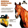 Kit 2 Suplemento Energético Farroupilha Energy Cavalo 5L