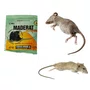 Kit 20 Raticida Maderat GS Premium 20gr Isca Rato Dose Unica