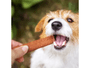 Kit 4 Petisco Maskotinho Bifinho Para Cães Sabor Carne