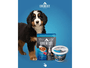 Kit 4Un Ração Cães Filhotes Gourmet Cubos Carne ao Molho