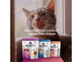 Kit 4Un Ração Gatos Filhotes Gourmet Cubos Frango ao Molho