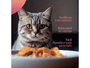 Kit 4Un Ração Gatos Filhotes Gourmet Cubos Frango ao Molho