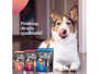 Kit 8Un Ração Cães Filhotes Gourmet Cubos Carne ao Molho 100g