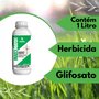 Kit Mata Mato Mademato Pronto Uso Daninhas Capim Tiririca 2L