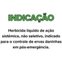 Kit Mata Mato Mademato Pronto Uso Daninhas Capim Tiririca 2L