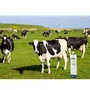 Mata Bicheira Repelente Larvicida Bovinos Galmetrin  440ml