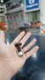 Parafuso Da Faca M12 X 38,00 JF