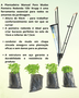 Plantadeira Para Mudas - Fumo, Alface e Outros - Krupp 135R