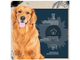 Ração Cães Adultos Snow Dog Longevidade Porte Médio/Grande 15kg