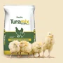 Ração Farelada para Aves de Corte Inicial 5Kg - Turamix