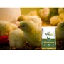 Ração Farelada para Aves de Corte Inicial 5Kg - Turamix