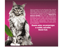 Ração Gatos Castrados Snow Cat Peru com Maçã 10,1Kg