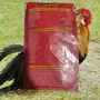 Ração Pró Galo 5kg - Anhambi