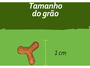 Ração Seca Fluffy Cat Gatos Adultos Carne e Frango 10,1Kg