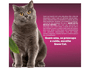 Ração Snow Cat Gatos Adultos Salmão com Maracujá 10,1Kg